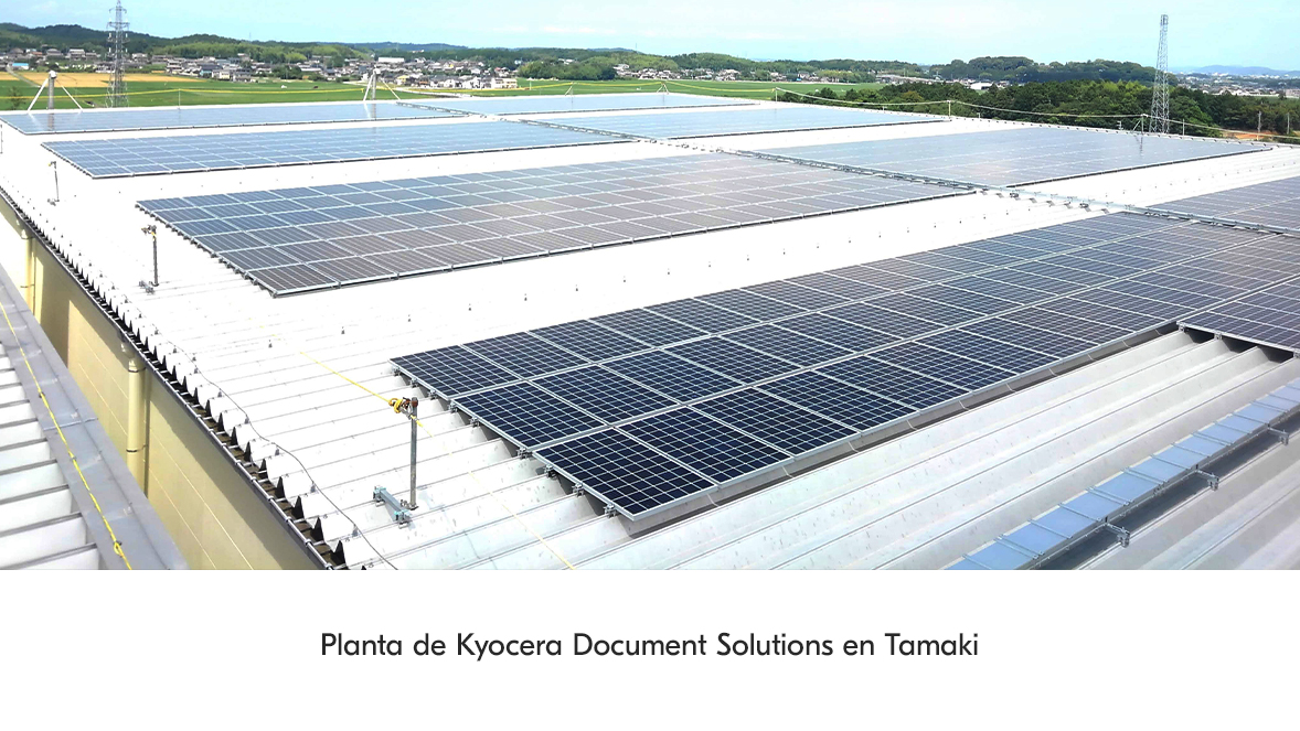Kyocera Document Solutions Temaki Plant