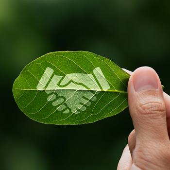 Finanzas sostenibles: qué son y ventajas para tu empresa