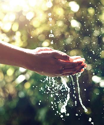 Sostenible con el medioambiente Sostenible con el medioambiente